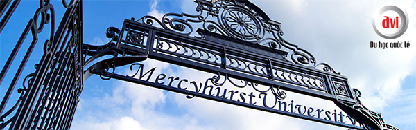 Điều kiện đầu vào Mercyhurst University