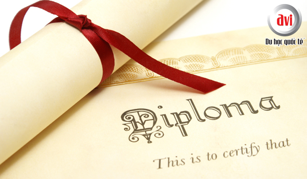 Chương trình Diploma