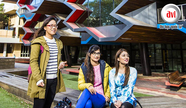Những lý do chọn đại học La Trobe