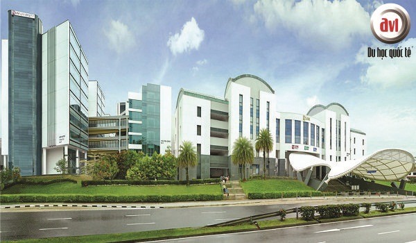 học viện quản lý SIngapore SIM