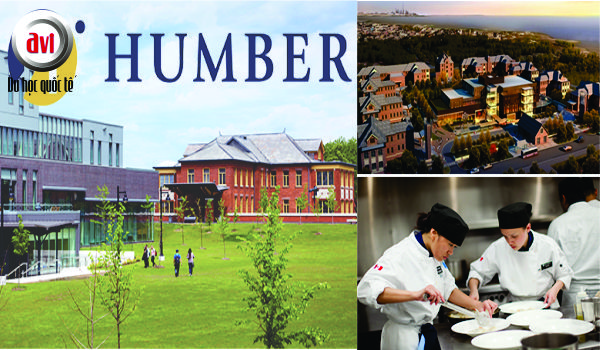 humber-college-avi