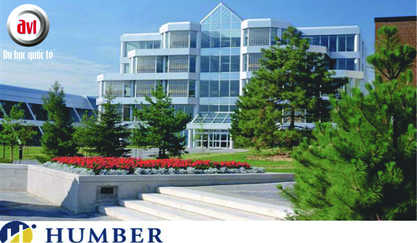 humber-college-avi