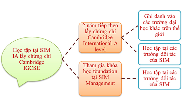 Lộ trình học tập tại SIM