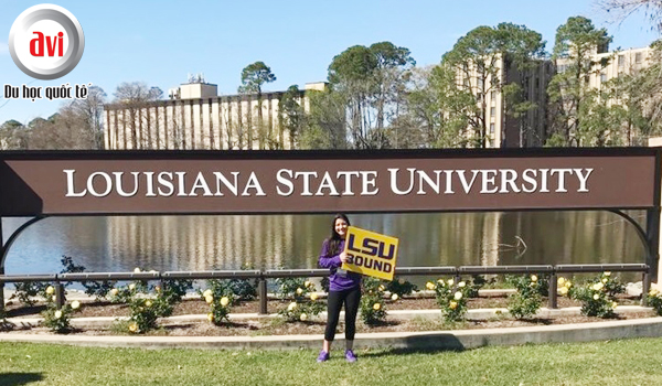 Đại học bang Louisiana (Louisiana State University - LSU)