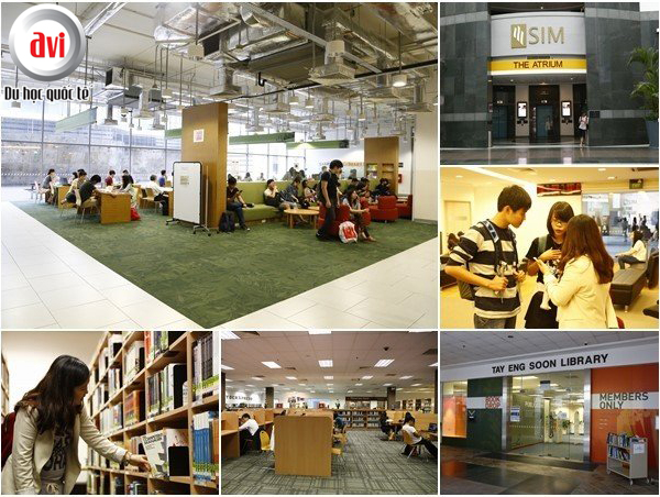 Những lý do chọn SIM cho sự khởi đầu du học