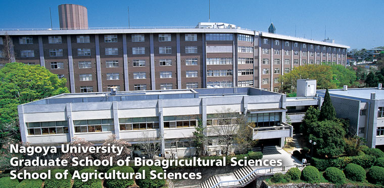 5 Trường Đại học tốt nhất tại Nhật Bản
