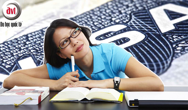 Nhược điểm của việc tự xin visa du học Mỹ