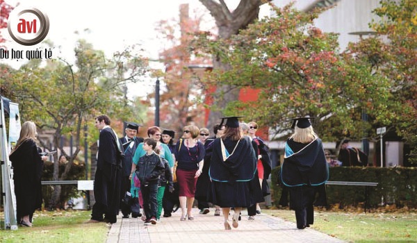 trường đại học new england