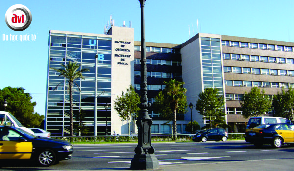 trường đại học european