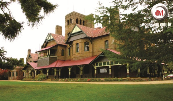 trường đại học newengland