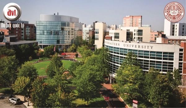 trường đại học northeastern