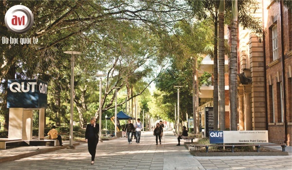 trường qut