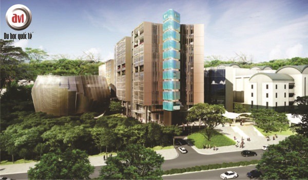 học viện sim, singapore