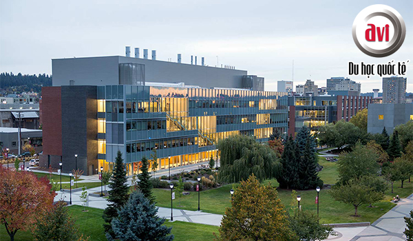 Đại học Washington State University tại spokane