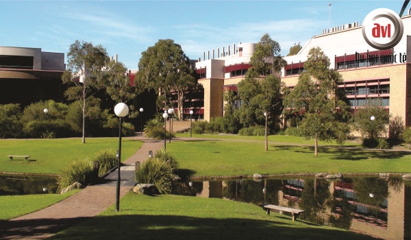 Đại học Wollongong