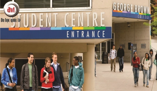 trường george brown