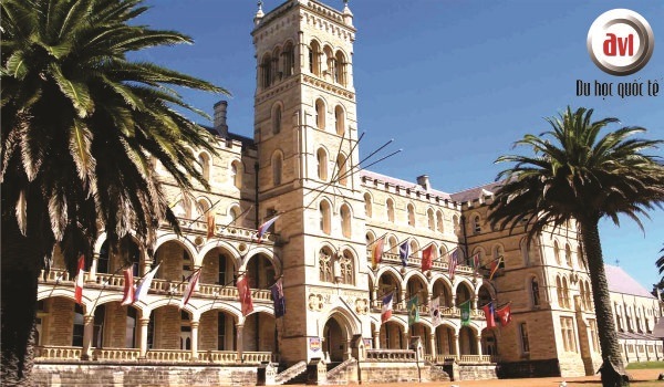 trường icms australia