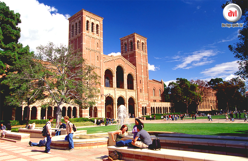 Trải nghiệm du học hè tại Đại học California- Los Angeles, Hoa kỳ