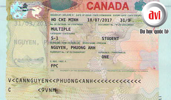 Visa du học Canada bạn Nguyễn Phương Anh