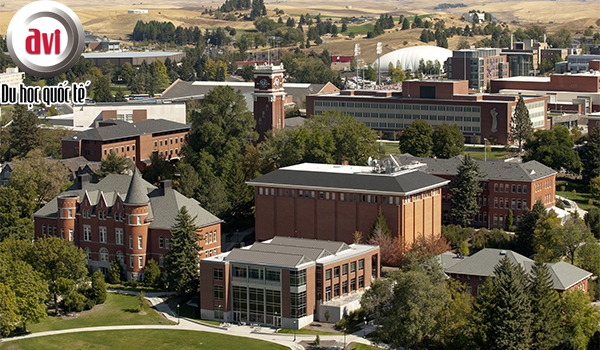 cơ sở chính Washington State University - Pullman