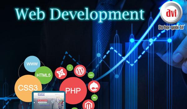 Ngành phát triển website