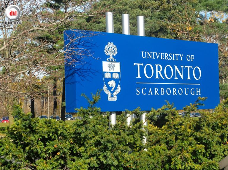 Trường đại học University Of Toronto