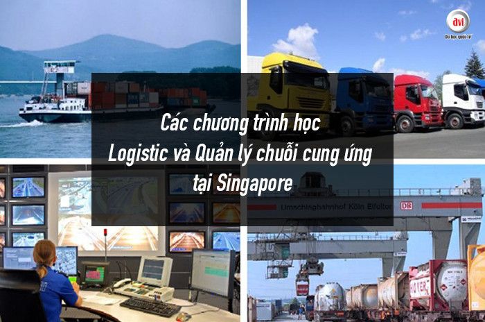 Các chương trình học Logistics và Quản lý chuỗi cung ứng tại Singapore