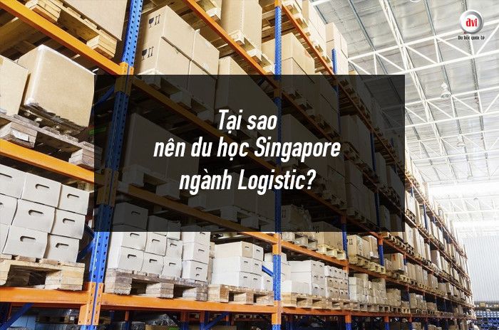 Tại sao nên du học Singapore ngành Logistics?