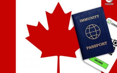 Xin visa du học Canada có khó không? Thời gian chờ mất bao lâu?