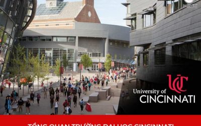 Du học Mỹ trường Đại học Cincinnati: Học bổng hấp dẫn lên tới 100% học phí