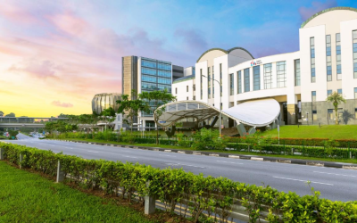 CHƯƠNG TRÌNH CỬ NHÂN TẠI HỌC VIỆN QUẢN LÝ SINGAPORE (SIM)