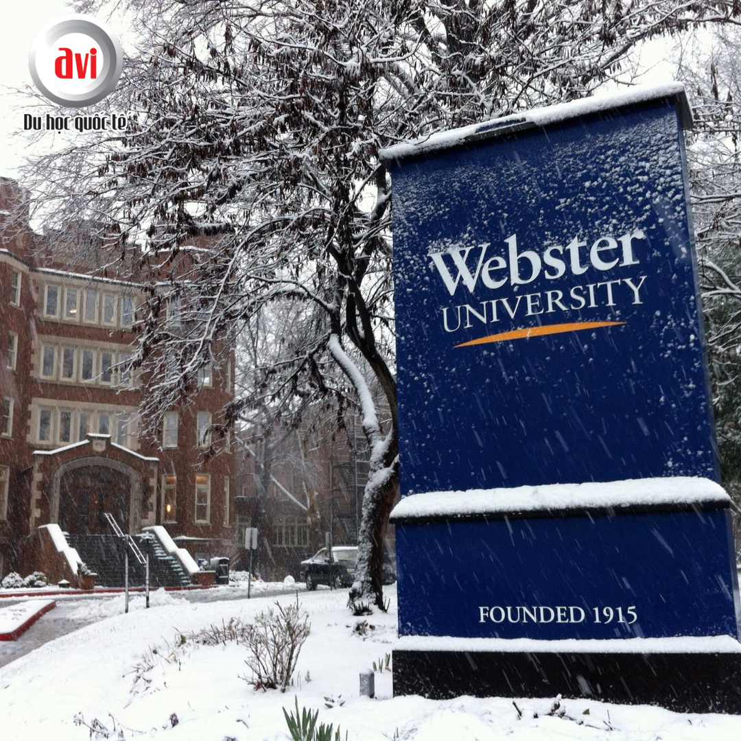 Webster University
