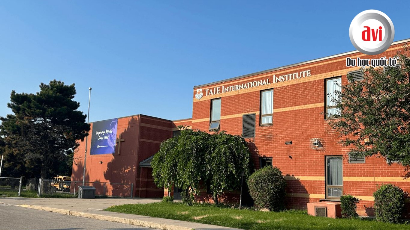 TAIE International Institute