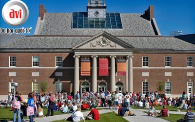 University of Cincinnati, Mỹ – Trải nghiệm Co-op Hưởng Lương Từ Năm Nhất