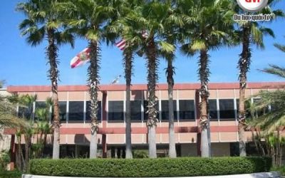 University of South Florida (USF): Thông tin, Học Bổng lên đến 11,000 USD/năm