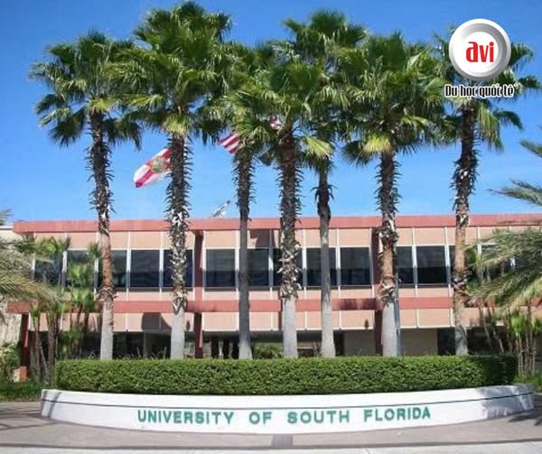University of South Florida