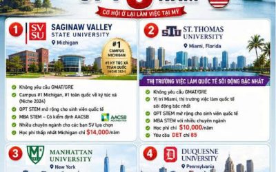 MBA STEM TẠI MỸ: 4 LỰA CHỌN ĐỈNH CAO, OPT TỚI 3 NĂM – KỲ FALL 2026 VẪN CÒN ĐANG MỞ HỒ SƠ