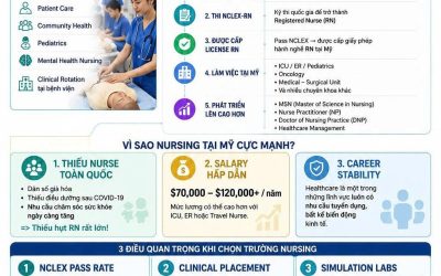 AI-PROOF MAJORS #3: VÌ SAO ENGINEERING VẪN LÀ “XƯƠNG SỐNG” KỸ THUẬT MÀ AI KHÔNG THỂ THAY THẾ?